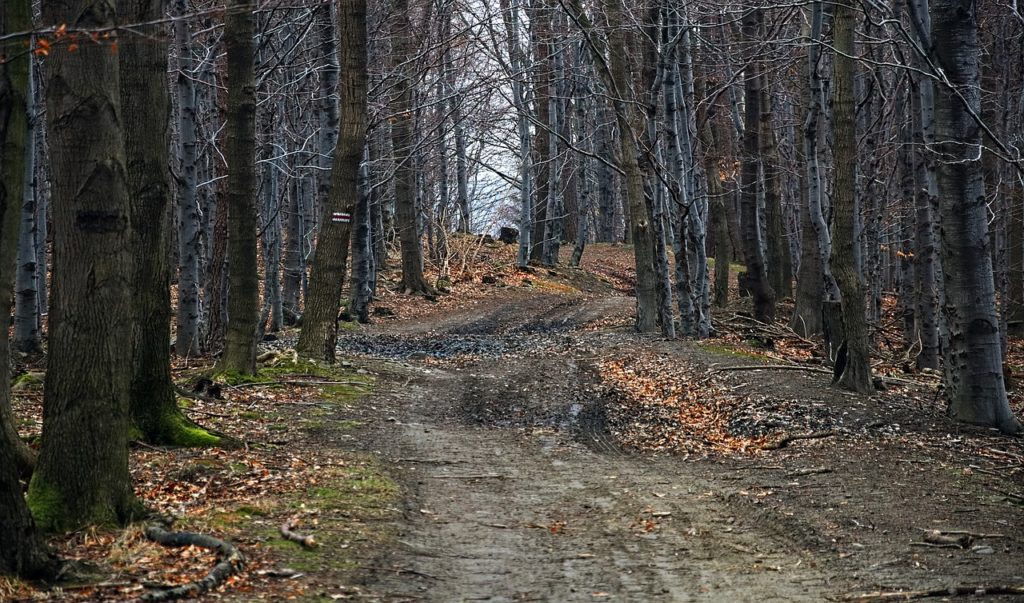 A path in the Beskid mountain range during winter.